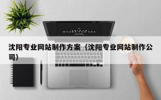 丹东沈阳专业网站制作方案（沈阳专业网站制作公司）